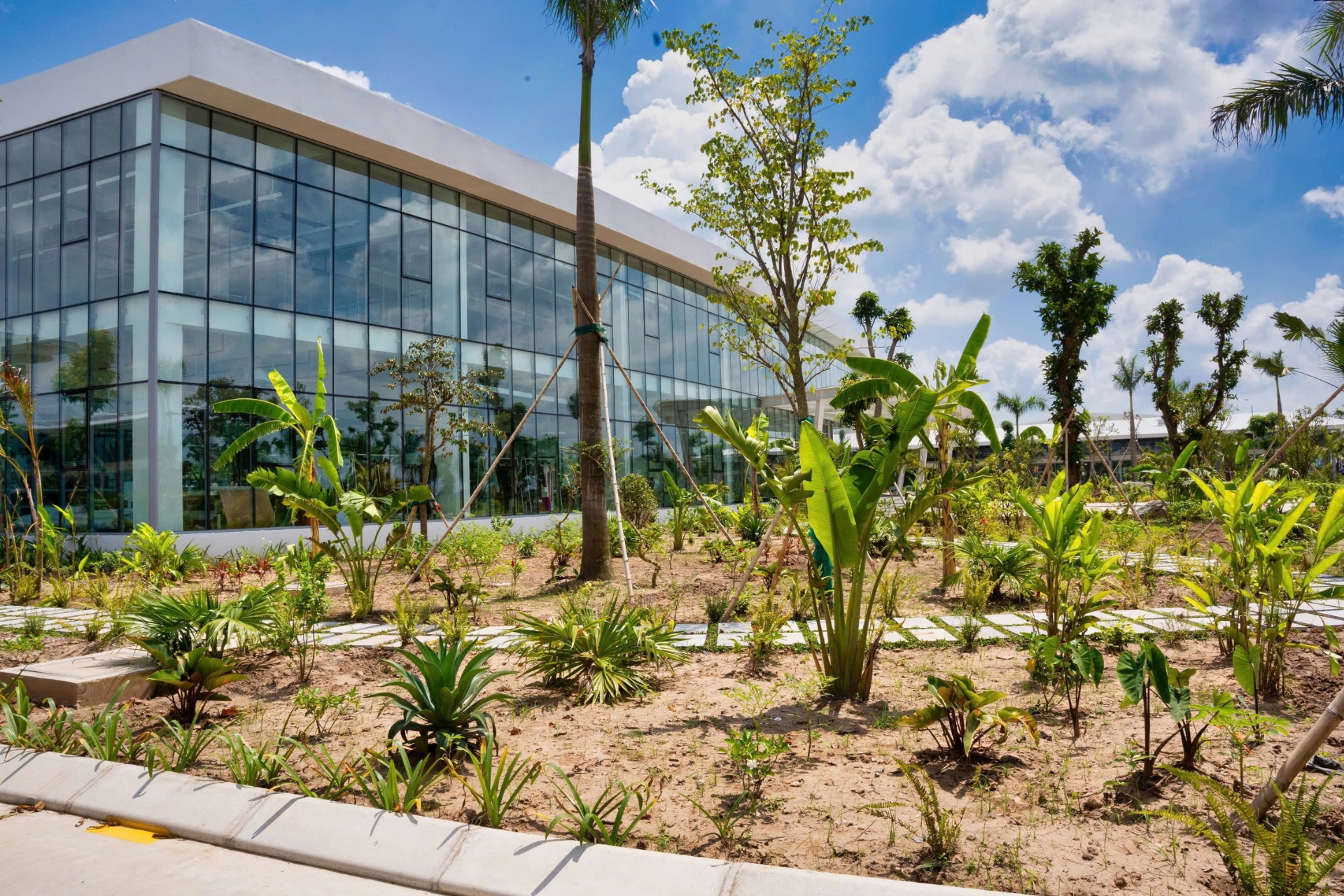 Vì sao thiết kế nhà xưởng xanh trở thành xu hướng tất yếu?